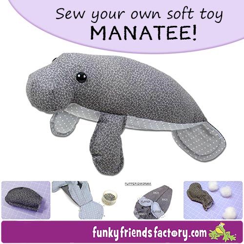 Manatee photo tutorial