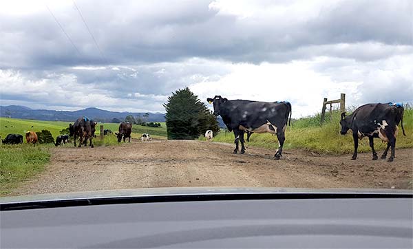 driving to the post box