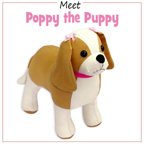 Meet Poppy the Puppy