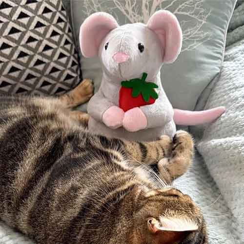 October 2025 MAKER OF THE MONTH – wins a FREE Funky Friends Factory Pattern!