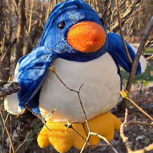 April 2026 MAKER OF THE MONTH – wins a FREE Funky Friends Factory Pattern!