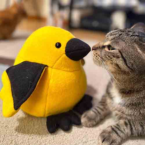 #Funky13000 Winners (PLUS even more cute Contest Entries!)
